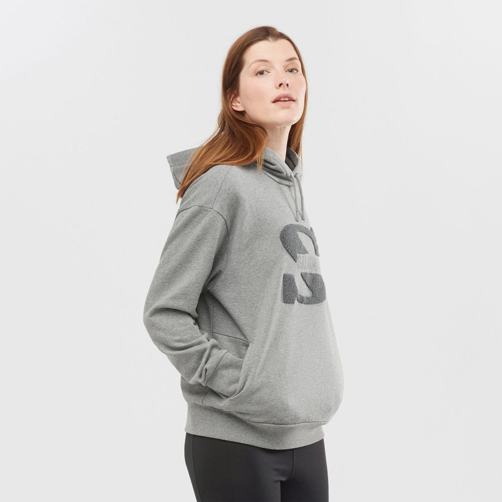 Salomon Israel OUTLIFE LOGO SUMMER - Womens Pullover - Mid Grey (VIQP-31674)